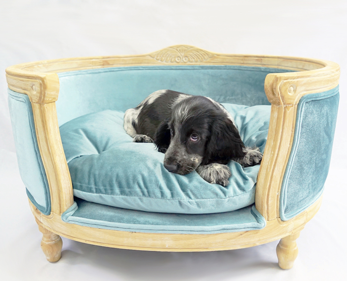 Blue velvet dog bed