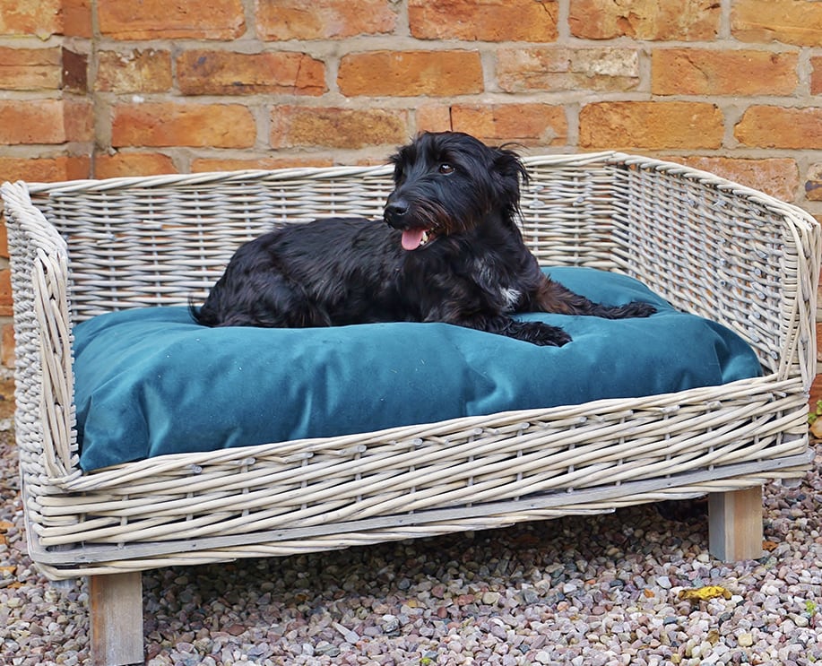 Willow dog beds